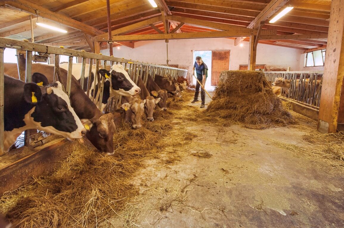 innerglieshof_DSC7560 Kopie