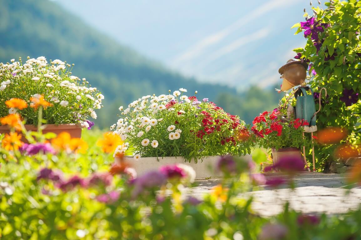 innerglieshof_blumen_DSC7118 Kopie